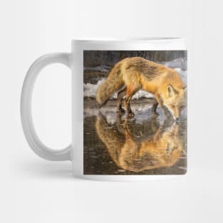 Red Fox in Water Mug